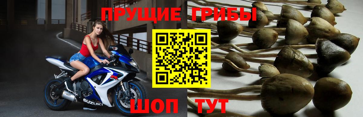 что такое наркотик  Вход с VPN  Каменск-Шахтинский  Галлюциногенные грибы мухоморы  Галлюциногенные грибы ЛСД 